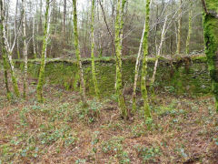 
Glyn Pits leat causeway, April 2011