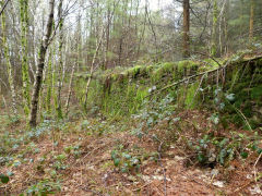 Glyn Pits leat causeway, April 2011