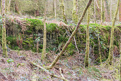 Glyn Pits leat above branchline, March 2015