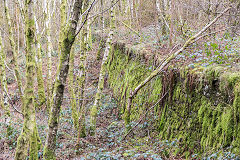 Glyn Pits leat causeway, March 2015