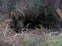 
Upcast shaft, Glyn Pits, November 2005