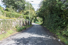 Victoria Road tramroad course, August 2015