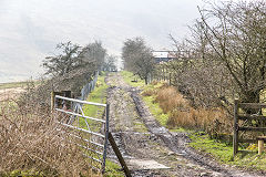 Cwmsychan Colliery tramway towards the dam, March 2015