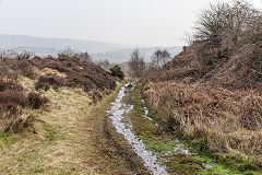 
Cwmsychan Colliery tramway, March 2015