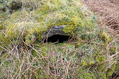 Cwmsychan Red Ash Colliery ventilation ducts, February 2014