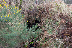 Cwmsychan Place upper culvert, Abersychan, February 2014