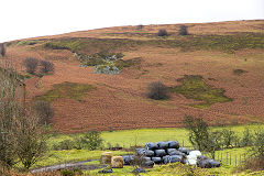 
Cwmsychan Colliery, Quarry opposite Colliery, February 2014