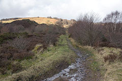 
Cwmsychan Colliery tramway, February 2014
