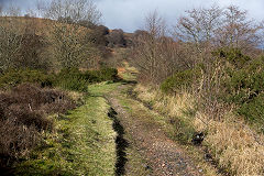 Cwmsychan Colliery tramway, February 2014
