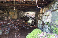 Cwmsychan Colliery tramway culvert, February 2014