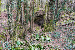 
Small quarry in Lasgarn woods, April 2016