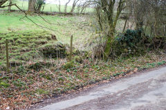 Buttresses at the side of the lane at Nant y Meilor, March 2009