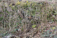 
Cwmsychan Colliery tramway tunnel near Abersychan House, February 2014