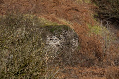 
British Ironworks coke ovens, February 2014