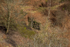 
British Ironworks coke ovens, February 2014