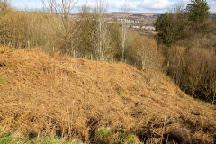 
British Quarry incline, February 2014