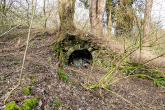 
British Quarry incline lower subway, February 2014