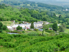 
The only survivor, Elizabeth Row, British Village, Abersychan, June 2013