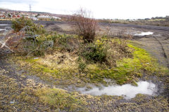 
The British, Shaft on the site of the old tips, believed to be for ironstone, February 2014