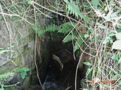 
The British, Northern end of a culvert, June 2008