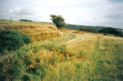 
Talywain Railway at Rhiw Frank, September 2005