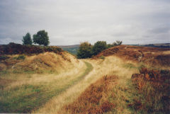 
Talywain Railway at Rhiw Frank, September 2005