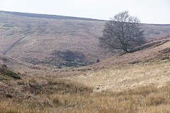 
Blaengaefog rifle range, March 2015