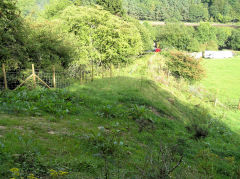 
Gomers Castle incline, Cwmavon, August 2010