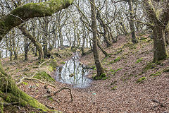 
Graig Wen reservoir or water course, March 2015