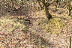 
Graig Wen quarry level, March 2015