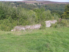 
Cwm Ffrwd incline engine house, August 2010