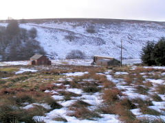 
Varteg Hill Colliery Top Pits canteen and stables, January 2010