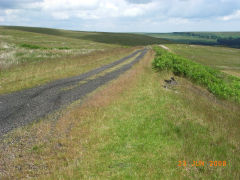 
Trackbed near Varteg Hill Colliery Top Pits, June 2008