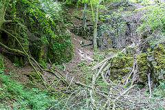 
Quarry behind The Westlake Arms, Cwmavon, June 2015