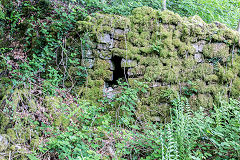 
Quarry behind The Westlake Arms, Cwmavon, June 2015