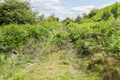 
Trackbed to Varteg Hill Colliery below Blaenavon road, July 2015