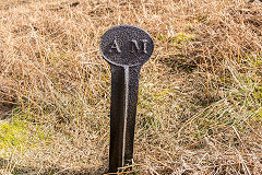 
Boundary marker, 'AM', Waun Wen, March 201