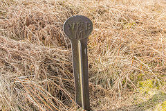 
Boundary marker, 'W&BM', Waun Wen, March 20