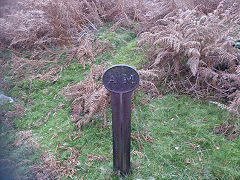 
Boundary marker, 'AM', Waun Wen, © Photo courtesy of John Matthews