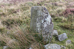 
Boundary stone near Canada Tips with probably 'B' for Breconshire and 'M' for Monmouthshire, September 2017