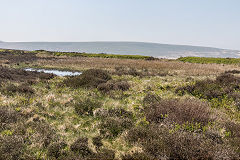 
Canada Tips reservoir at SO 2442 1087, Blaenavon, March 2010