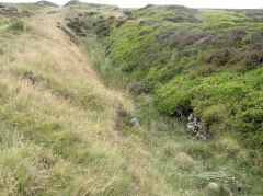 Dyne-Steel Incline Western level, Blaenavon, July 2010