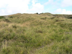 Hill Pit incline, Blaenavon, July 2010