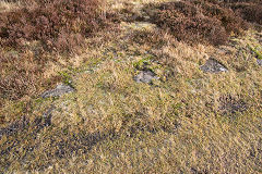 Hill Pit tramroad, Blaenavon, January 2014
