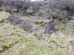 Ruins at Meadow Vein Level, possibly a small-holding, Blaenavon, January 2025