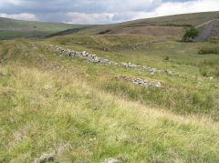 Northern tramroad looking North, July 2010