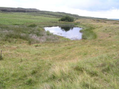 New Pit reservoir, Blaenavon, July 2010