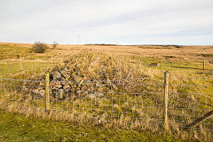 New Pit shaft, Blaenavon, January 2014