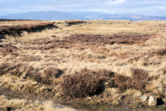 Reservoir at SO 2442 1087, Tir Abraham Harry, Blaenavon, March 2010