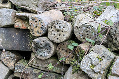 Tuyeres near the site of the Upper Brick Yard, November 2016